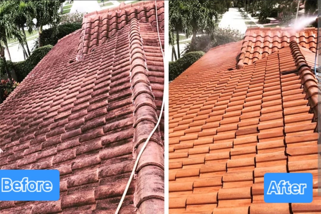Before and after cleaning of a tiled roof.